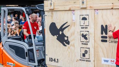 Transport Schedel Triceratops - foto: Jean-Pierre Geussens Centre Ceramique