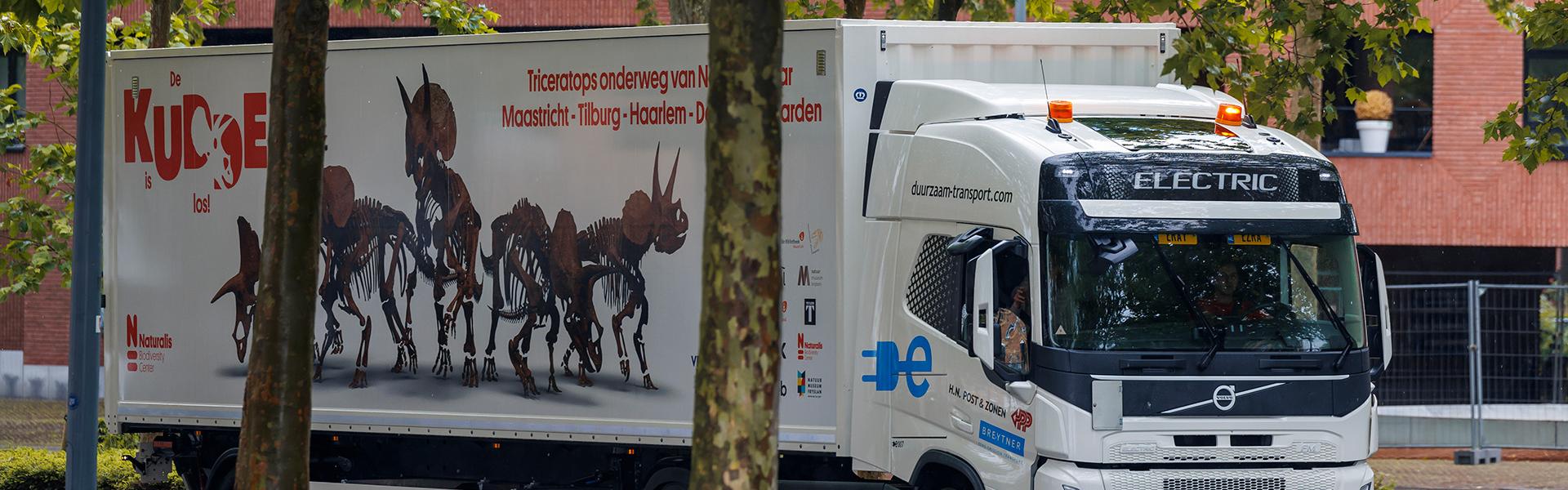 Transport Schedel Triceratops - foto: Jean-Pierre Geussens Centre Ceramique